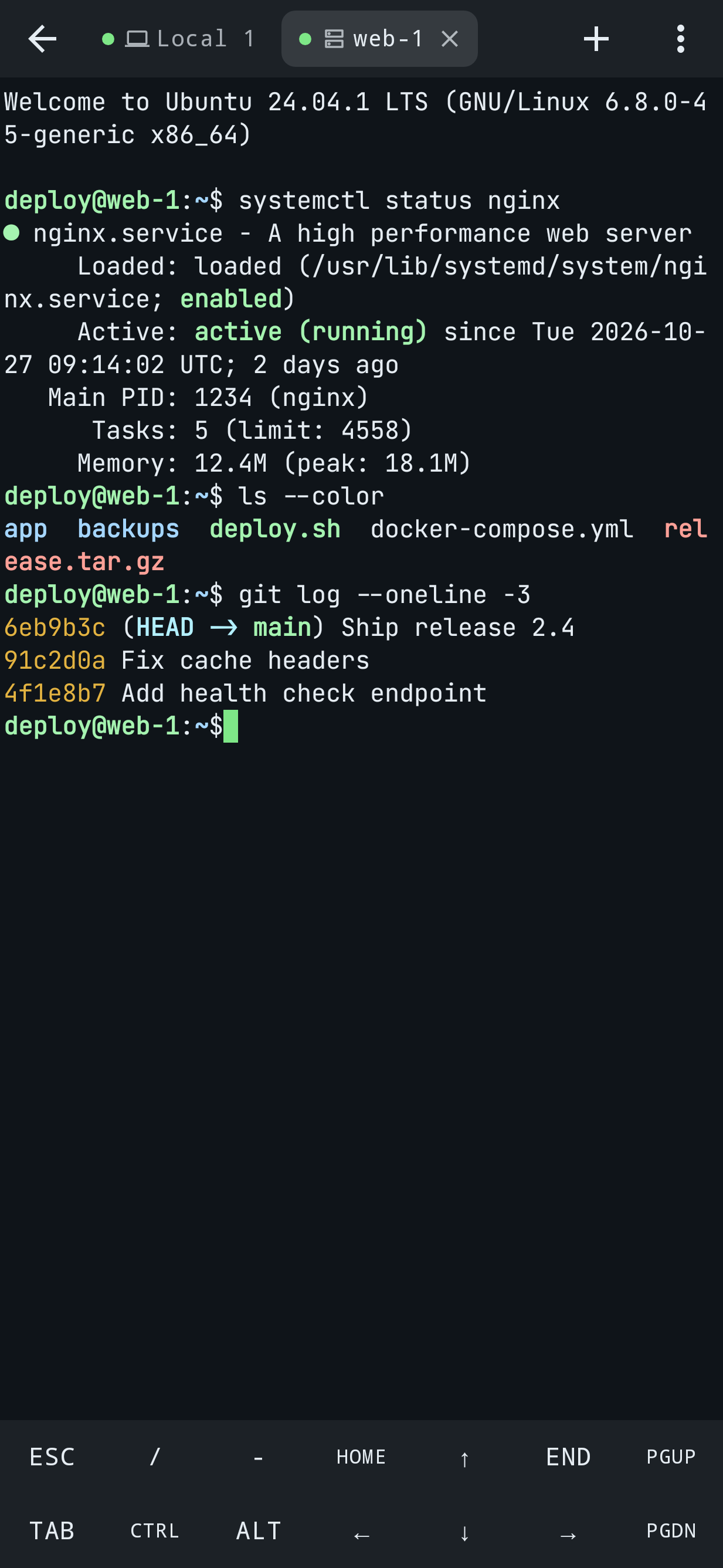 An SSH session in a terminal tab